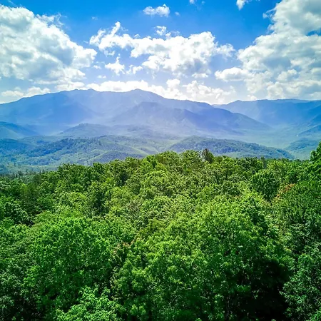 Dancing Bear Lodge, 1089 Free Attraction Tickets For Each Paid Day, Dollywood And More